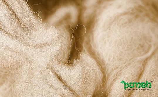 puneh vintage