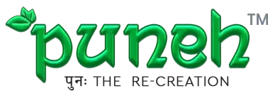 puneh logo